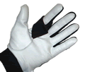 gloved hand