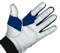gloved hand